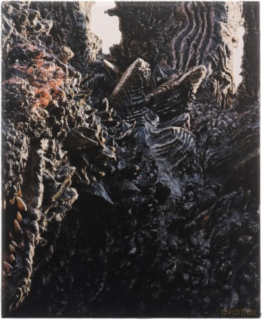 Godzilla Minus One (Deluxe) [Blu-Ray 4K]+[3xBlu-Ray]