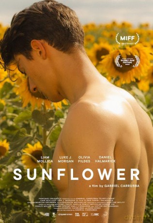 Sunflower [DVD]