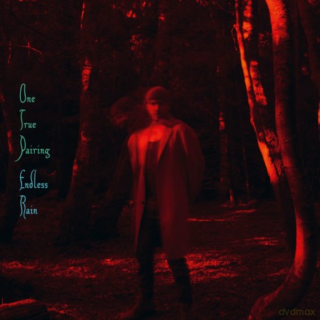 One True Pairing: Endless Rain [CD]