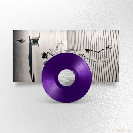 Bardo Pond: Set And Setting (25th Anniversary) [Winyl]