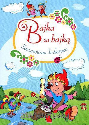 Bajka za bajką. Zaczarowa królestwo [KSIĄŻKA]