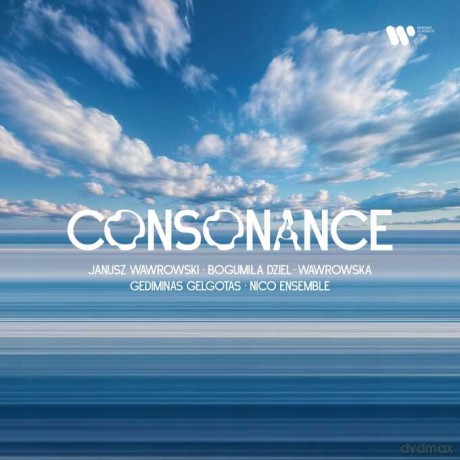 Janusz Wawrowski: Consonance [Winyl]