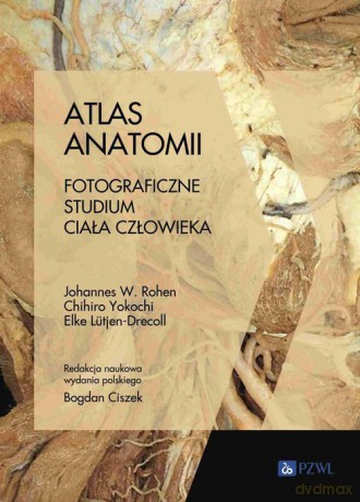 Atlas anatomii - W. Rohen Johannes, Chihiro Yokochi [KSIĄŻKA]