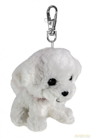 Lumo Maltese dog Rosie mini