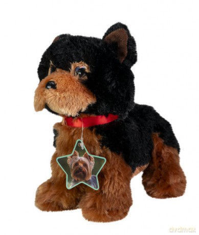 Lumo Yorkshire terrier Daisy classic