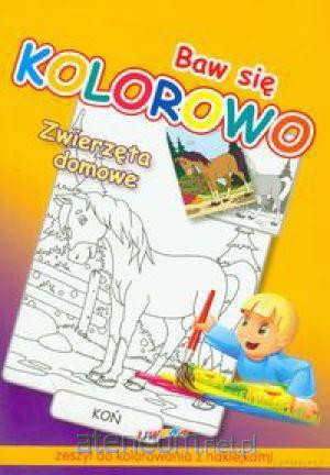 Baw się kolorowo - Zwierzęta domowe [KSIĄŻKA]
