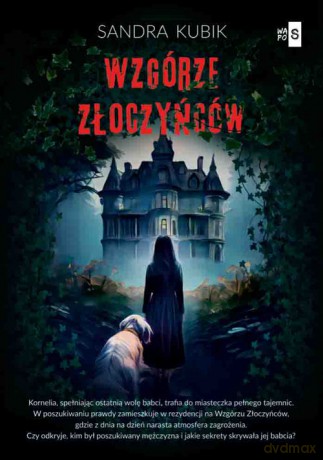 Wzgórze Złoczyńców - Sandra Kubik [KSIĄŻKA]