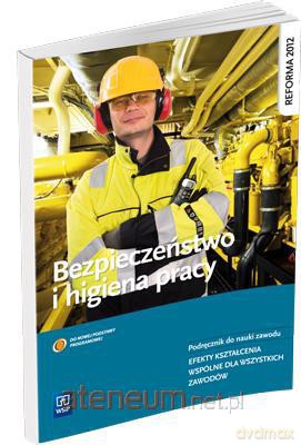 Bezpieczeństwo i higiena pracy NPP [KSIĄŻKA]