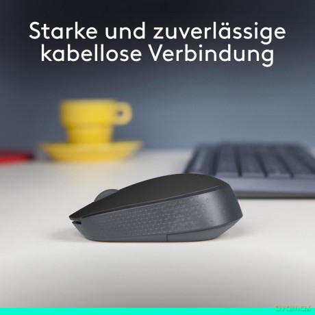 B170 Wireless Mouse Black 910-004798