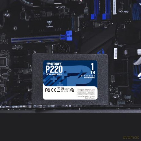 Dysk SSD 1TB P220 550/500MB/s SATA III 2.5 cala