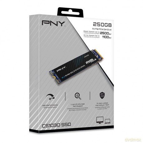 Dysk SSD 250GB M.2 2280 CS1030 M280CS1030-250-RB