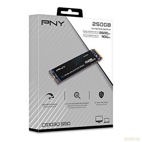Dysk SSD 250GB M.2 2280 CS1030 M280CS1030-250-RB