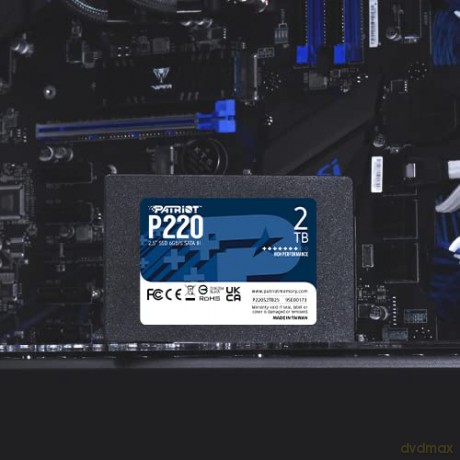 Dysk SSD 2TB P220 2.5 inches 550/500MB/s SATA III