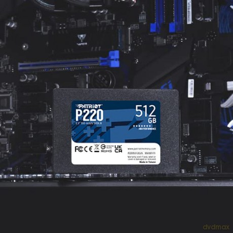 Dysk SSD 512GB P220 550/500MB/s SATA III 2.5 cala