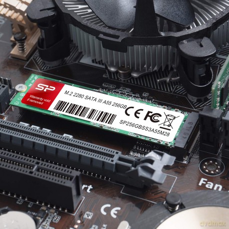 Dysk SSD A55 1TB M.2 560/530 MB/s