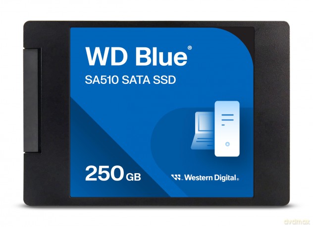 Dysk SSD Blue 250GB SA510 2,5 cala WDS250G3B0A