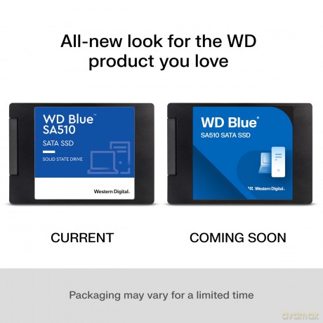 Dysk SSD Blue 250GB SA510 2,5 cala WDS250G3B0A
