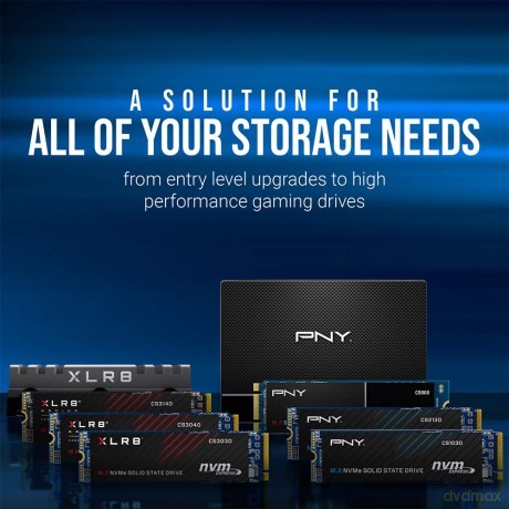 Dysk SSD CS1030 500GB M.2 2280