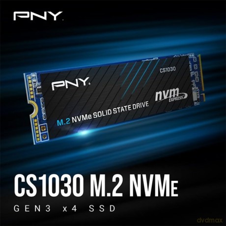 Dysk SSD CS1030 500GB M.2 2280