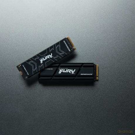 Dysk SSD FURY Renegade 500GB M2 2280 PCI-e 4.0 NVMe 7300/3900