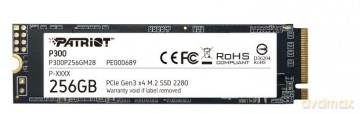 Dysk SSD P300 256GB M.2 PCIe Gen 3 x4 1700/1100