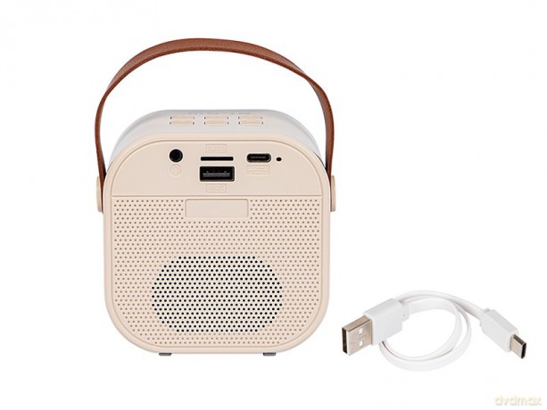 Głośnik Bluetooth Karaoke RGB