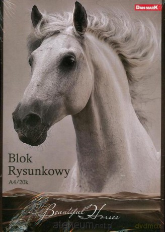Blok rysunkowy A4/20K 10 szt. Horses [SZKOŁA]