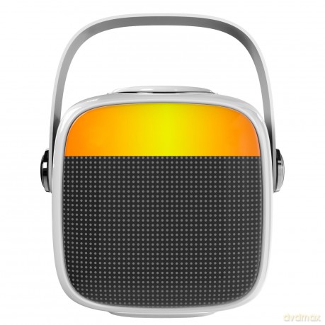 Głośnik karaoke AD1199W