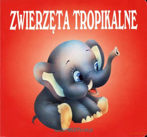 BN Zwierzęta tropikal [KSIĄŻKA]