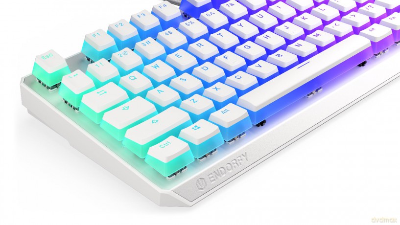 Klawiatura gamingowa - Thock TKL OWH P. Kailh BL RGB