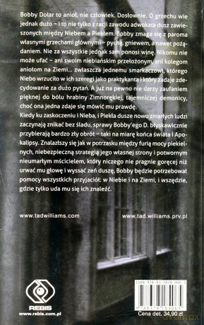 Brud ulice Nieba [KSIĄŻKA]
