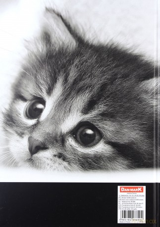 Brulion A5/96K/TW kratka 5 szt Cat&Dog [KSIĄŻKA]