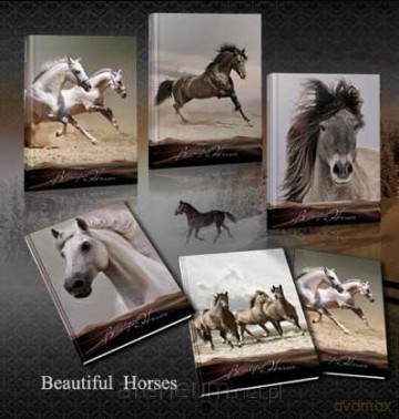 Brulion A5/96K/TW kratka 5 szt. Horses [KSIĄŻKA]