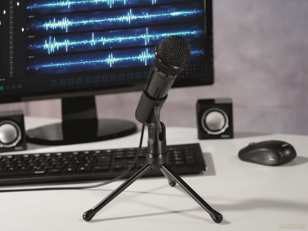 Mikrofon MIC-P35 Allround