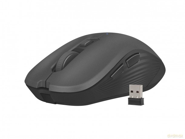 Mysz bezprzewodowa Robin 1600 DPI czarna