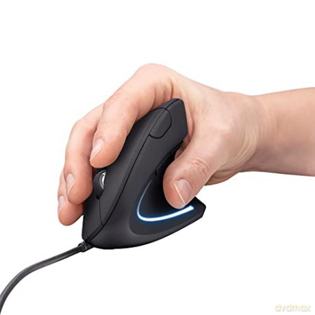 Mysz Verto