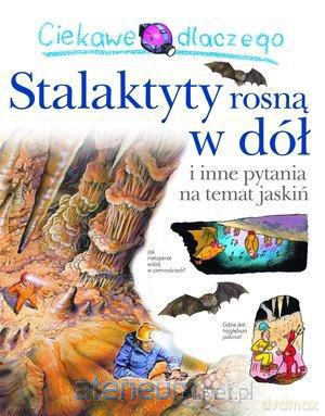 Ciekawe dlaczego - Stalaktyty rosną w dół [KSIĄŻKA]