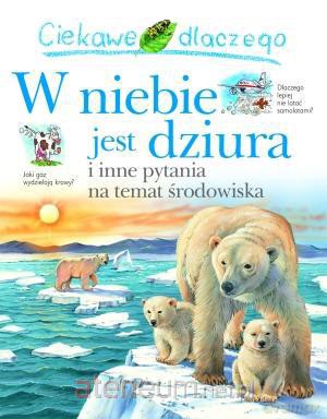 Ciekawe dlaczego - W niebie jest dziura [KSIĄŻKA]