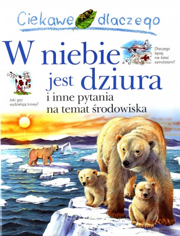 Ciekawe dlaczego - W niebie jest dziura [KSIĄŻKA]