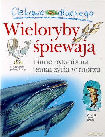 Ciekawe dlaczego - Wieloryby śpiewają [KSIĄŻKA]