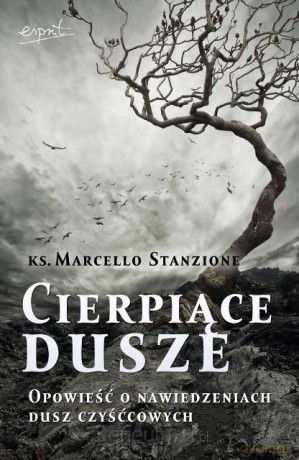 Cierpiące dusze. Opowieść o nawiedzeniach dusz... [KSIĄŻKA]