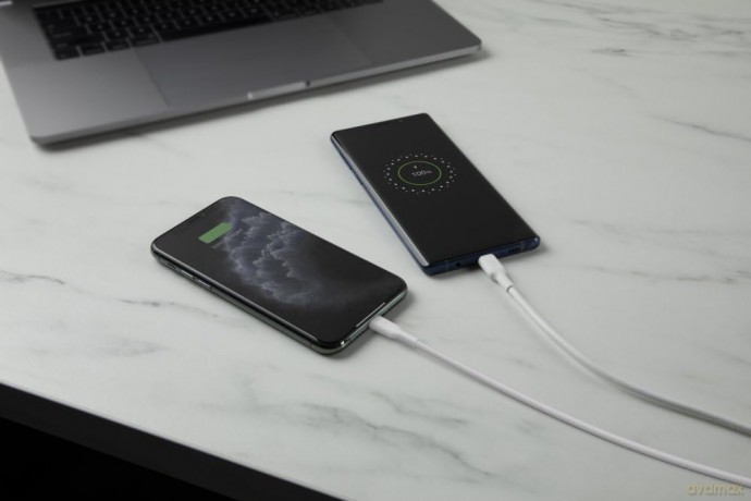 Podwójna ładowarka ścienna Boost Charge 12W x2 Biała