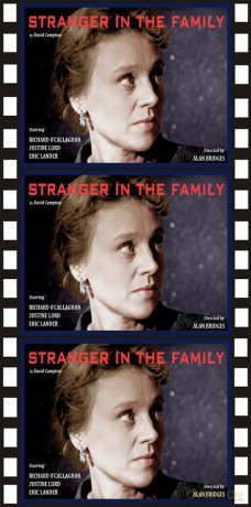Stranger in the Family [DVD]