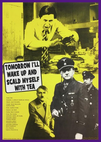 Tomorrow I'll Wake Up and Scald Myself With Tea(Anamorphic Widescreen Edition) [DVD]