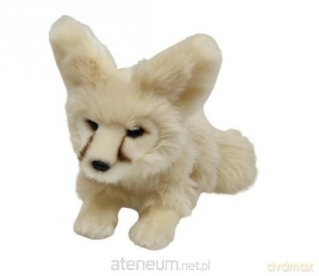 Fenek 23cm