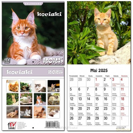 Kalendarz 2025 dla dzieci 16x32 13 plansz Kociaki [KALENDARZ]