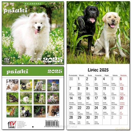 Kalendarz 2025 dla dzieci 16x32 13 plansz Psiaki [KALENDARZ]