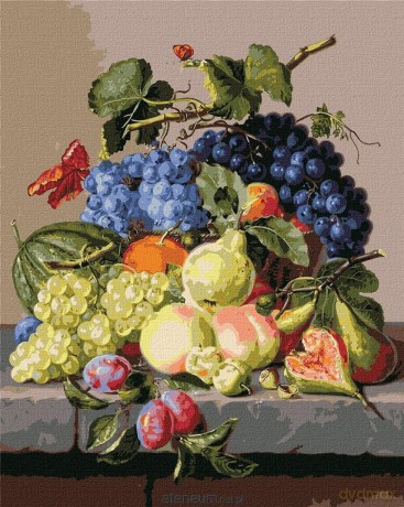 Malowanie po numerach - Martwa natura 40x50cm