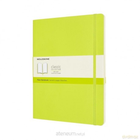 Notes Classic XL 19x25 gładki 192str lemon gree