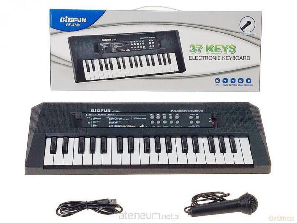 Organki z mikrofonem 37 klawiszy